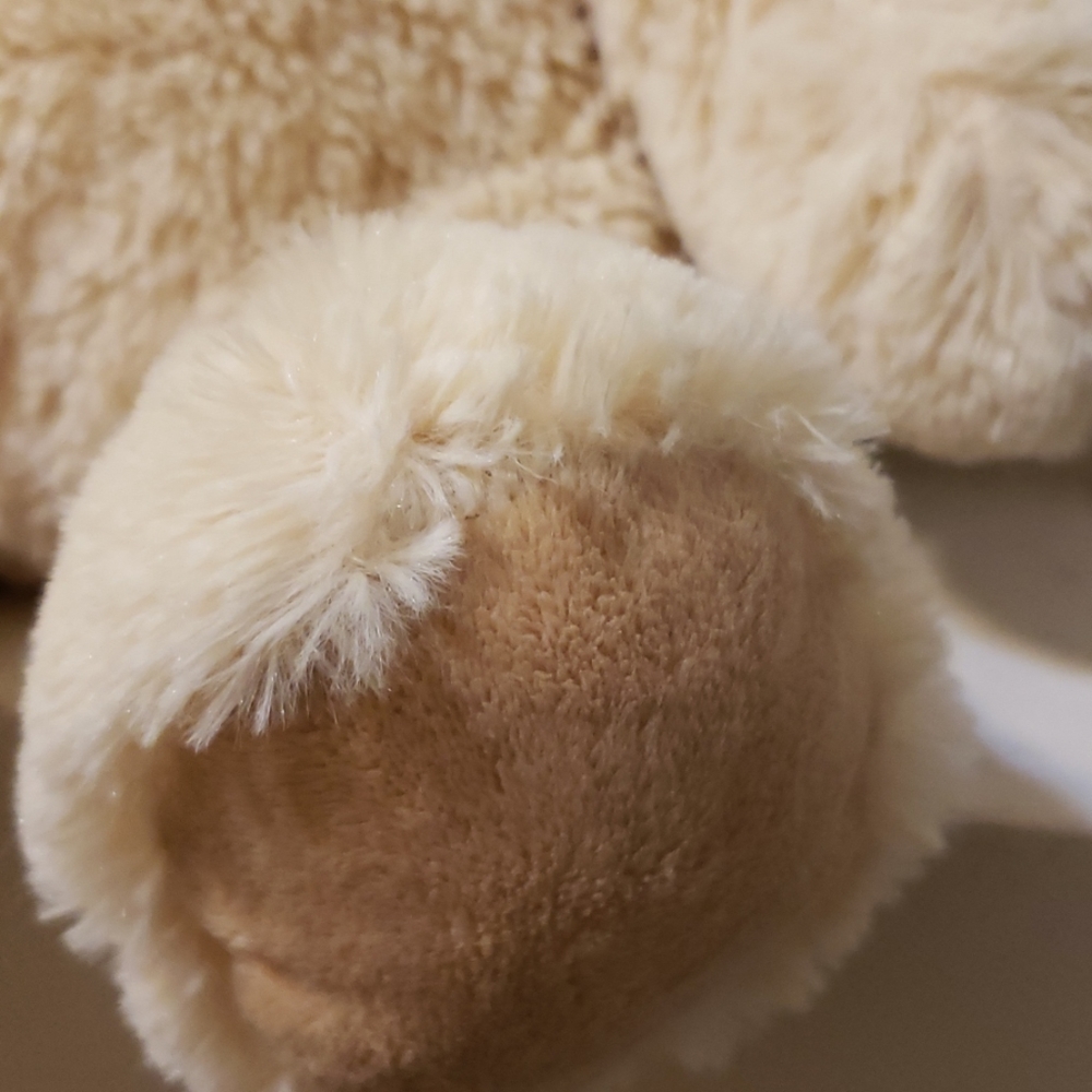 Bear - Picture 6 of 8